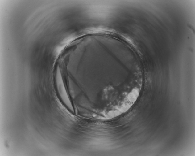 X0000098151463200805151153