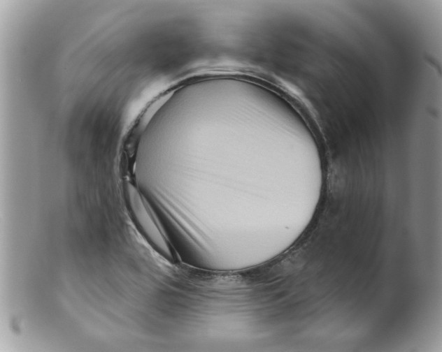 X0000098151464200805151153