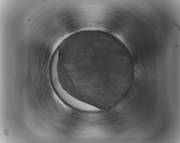 X0000098151468200805151153