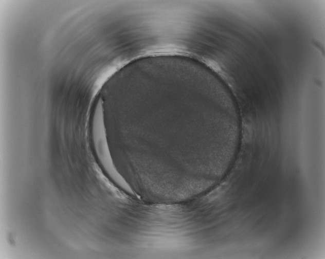 X0000098151469200805151153