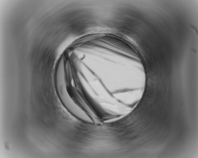 X0000098151472200805151153