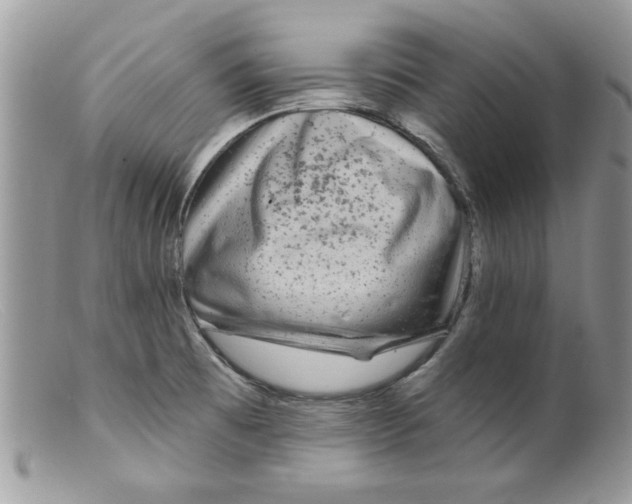 X0000098151473200805151153