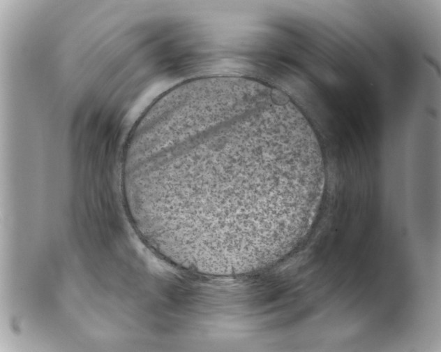 X0000098151478200805151152