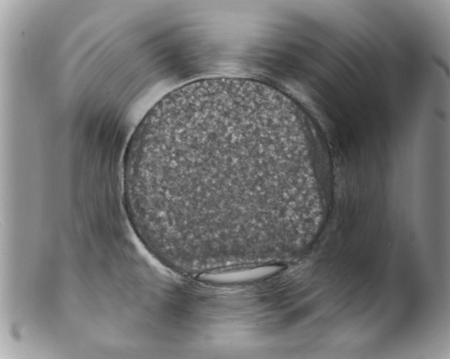 X0000098151479200805151152