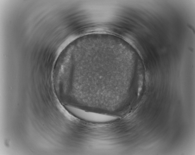 X0000098151482200805151152