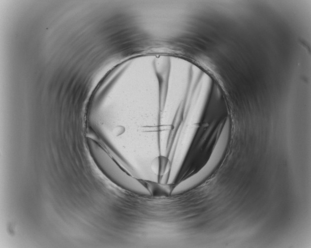 X0000098151483200805151152