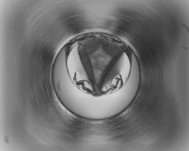 X0000098151484200805151152