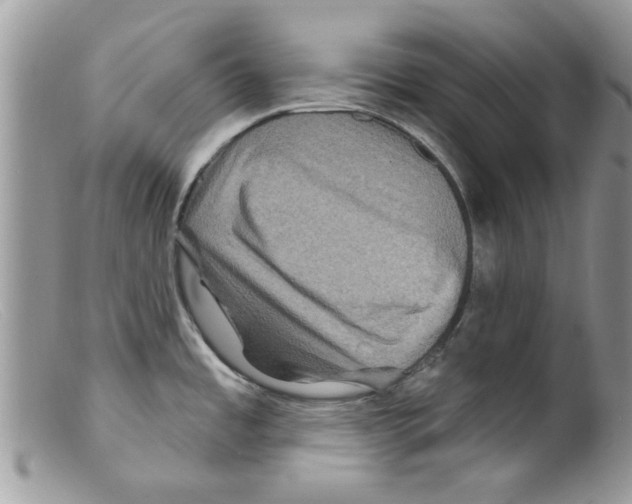 X0000098151485200805151152