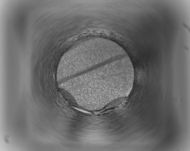 X0000098151489200805151152