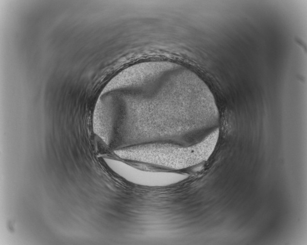 X0000098151490200805151152