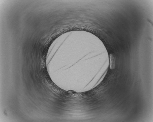 X0000098151491200805151152