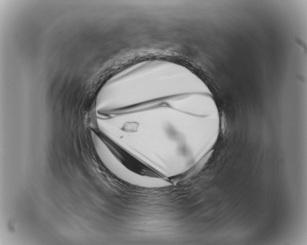 X0000098151492200805151152