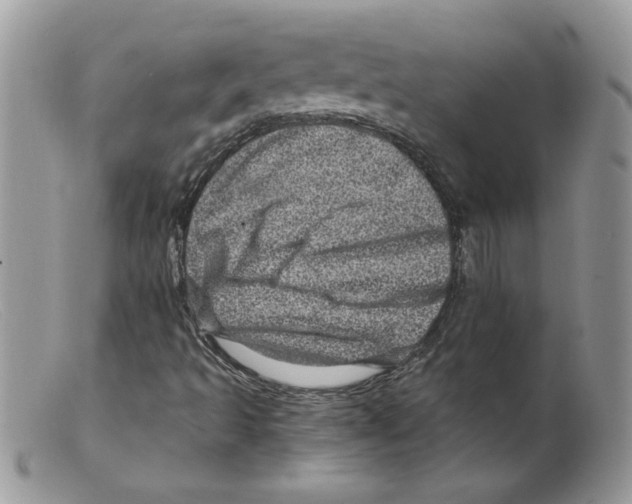 X0000098151493200805151152