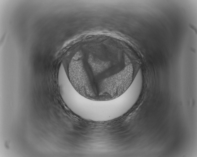 X0000098151494200805151152