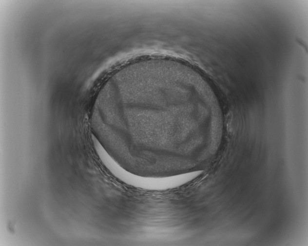 X0000098151495200805151152