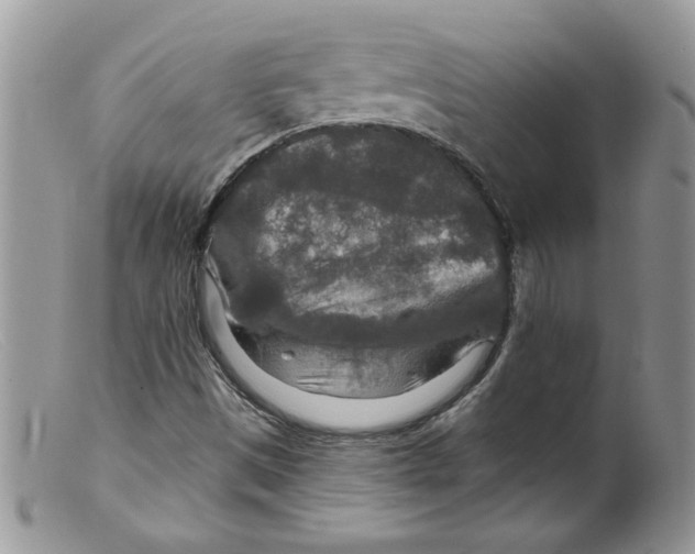 X0000098151497200805151152