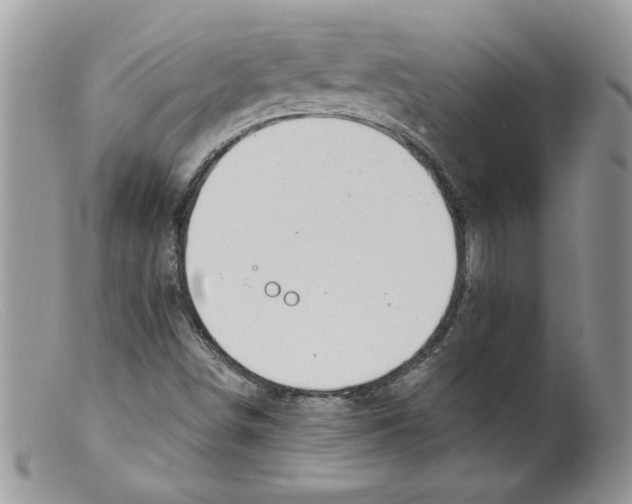 X0000098151498200805151152