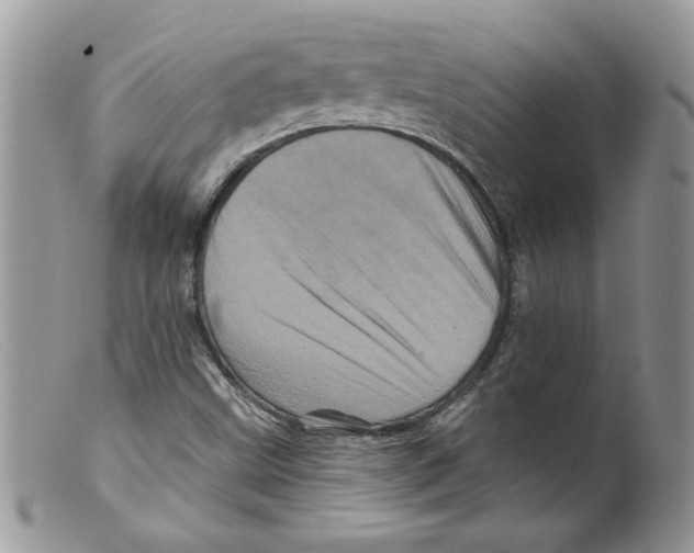 X0000098151499200805151152