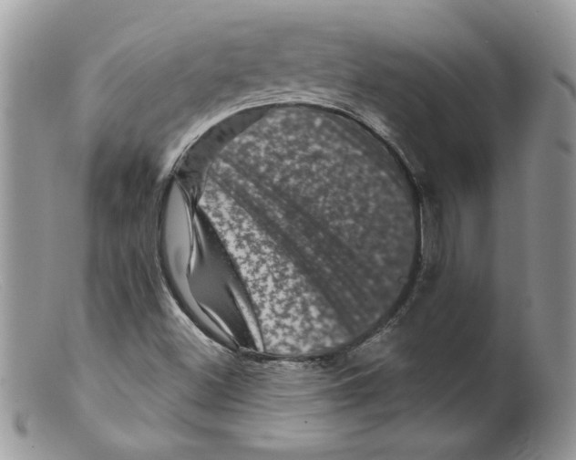 X0000098151500200805151152