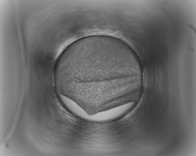 X0000098151501200805151152