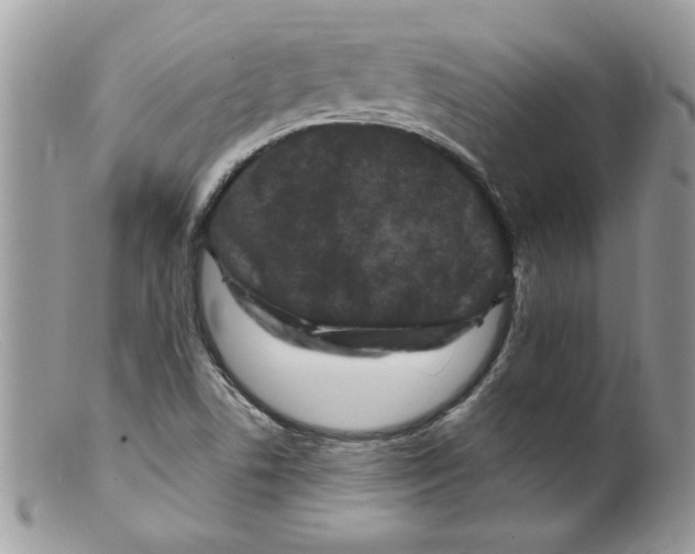 X0000098151506200805151152