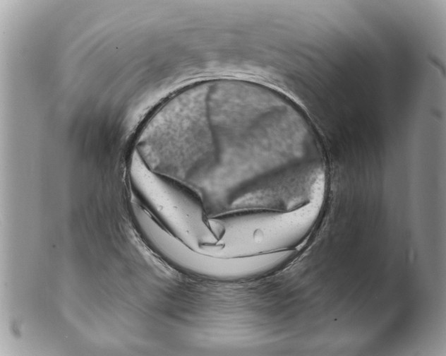 X0000098151507200805151152