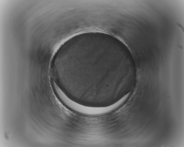 X0000098151508200805151152