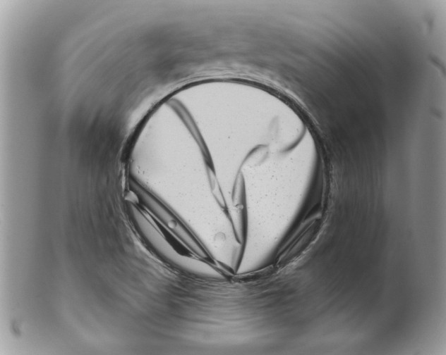 X0000098151509200805151152