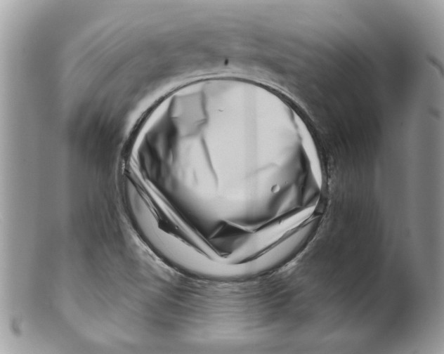 X0000098151510200805151152