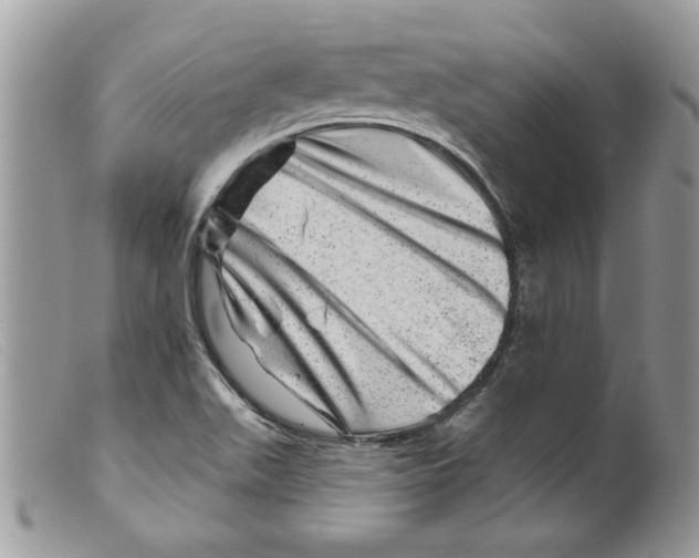 X0000098151511200805151152