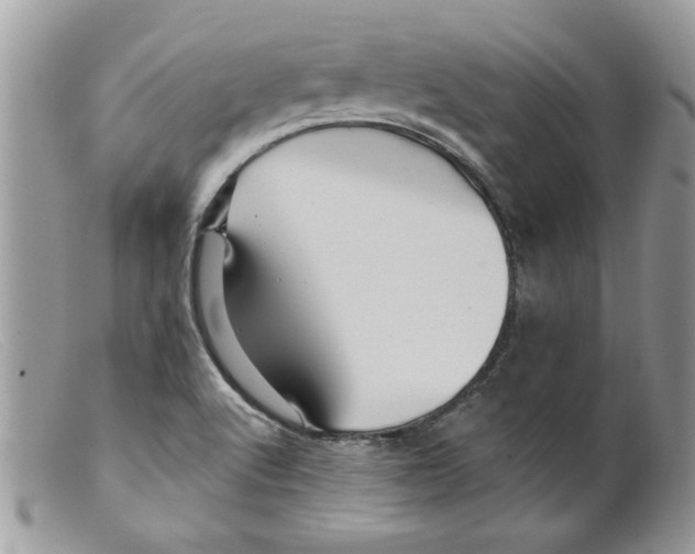 X0000098151512200805151152