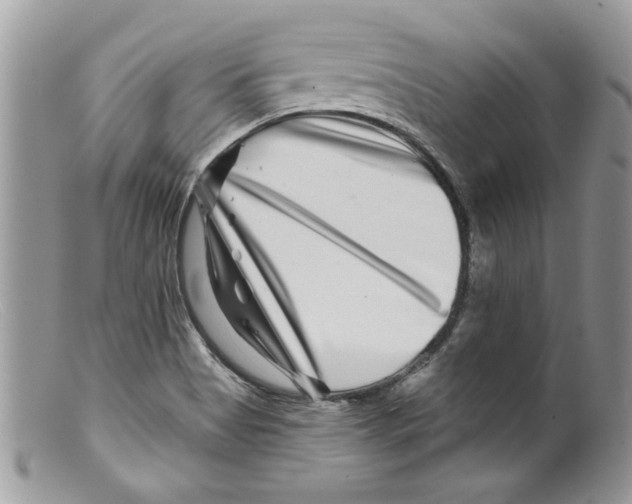 X0000098151513200805151152