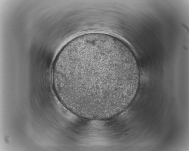 X0000098151514200805151152