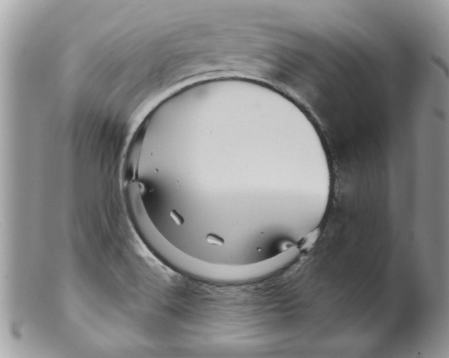 X0000098151516200805151152
