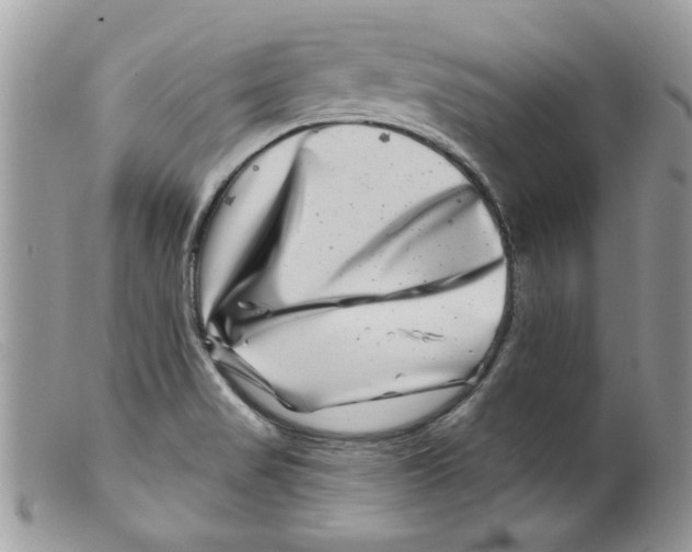 X0000098151517200805151152