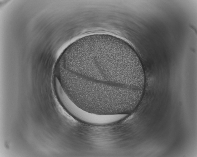 X0000098151518200805151152