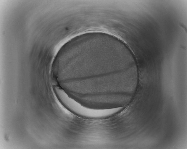 X0000098151519200805151152