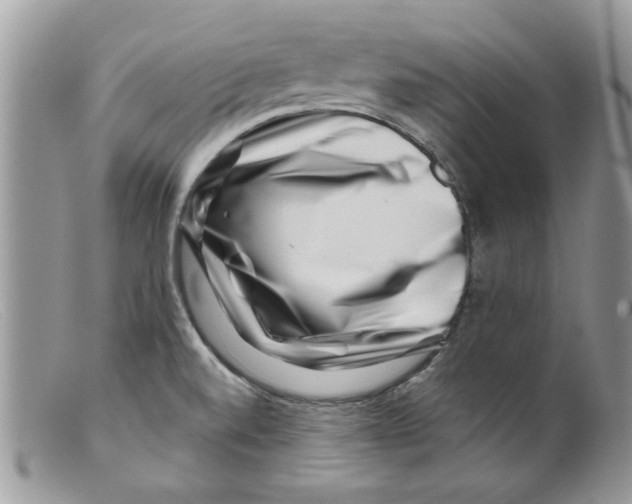 X0000098151520200805151152
