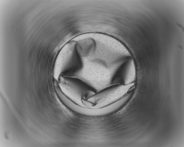 X0000098151521200805151152