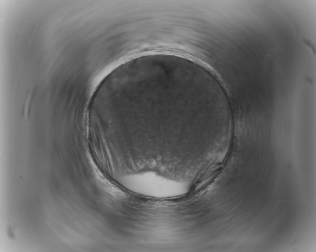 X0000098151522200805151152