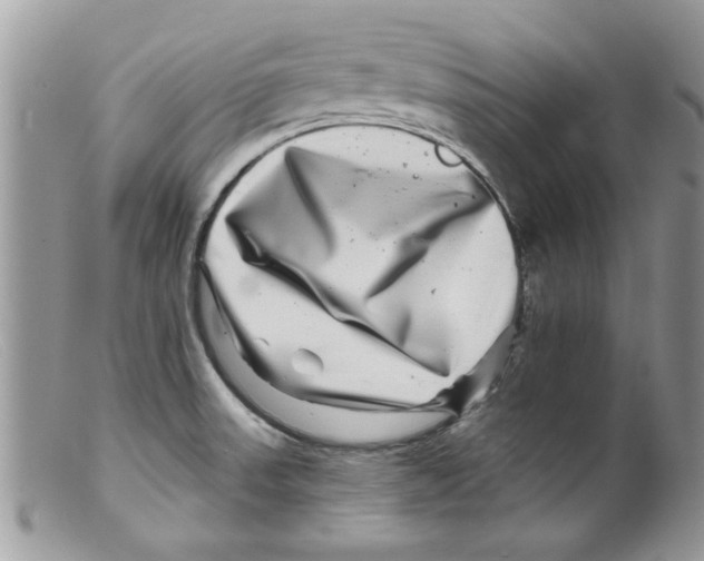 X0000098151523200805151152