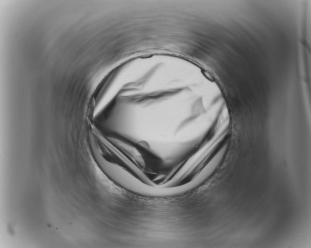 X0000098151524200805151152