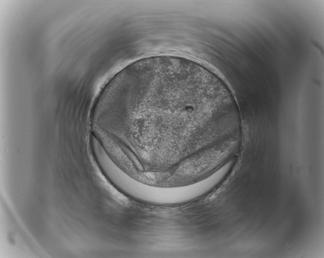 X0000098151525200805151152