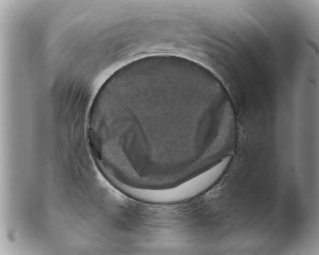 X0000098151527200805151152