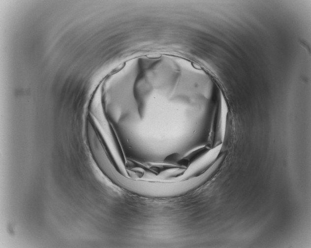 X0000098151528200805151152