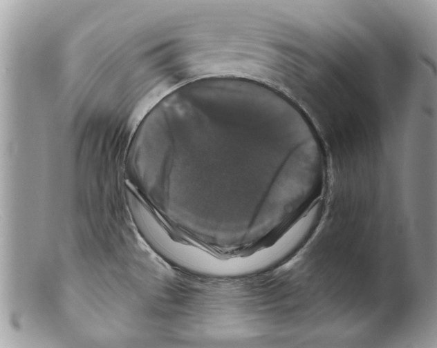 X0000098151529200805151152