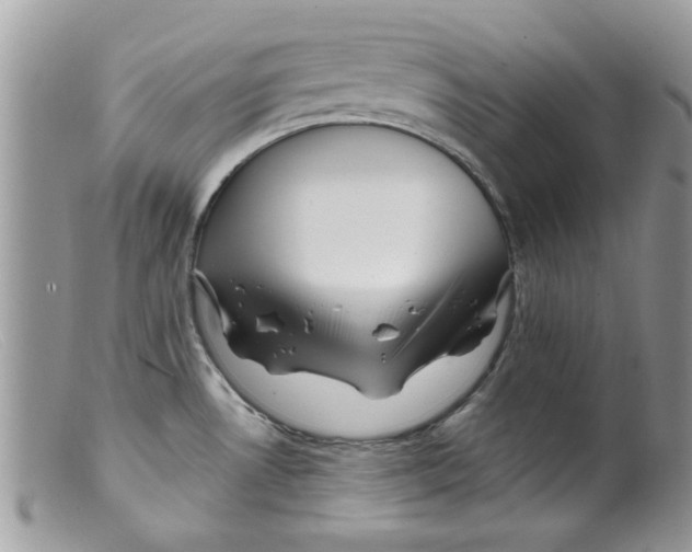 X0000098151530200805151152