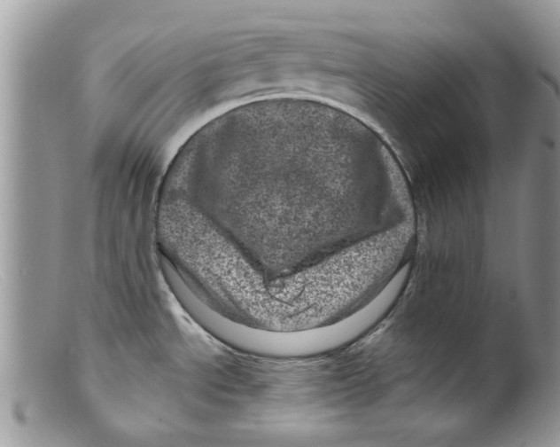 X0000098151534200805151152