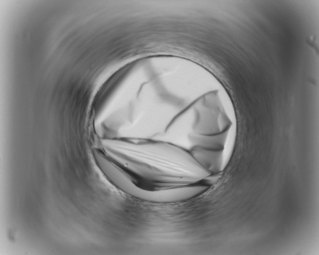 X0000098151536200805151152