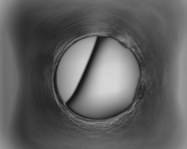 X0000098160001200804171228